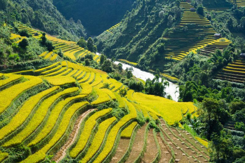 randonnée à Sapa - voyage incentive au Vietnam