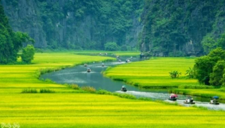 NINH BINH