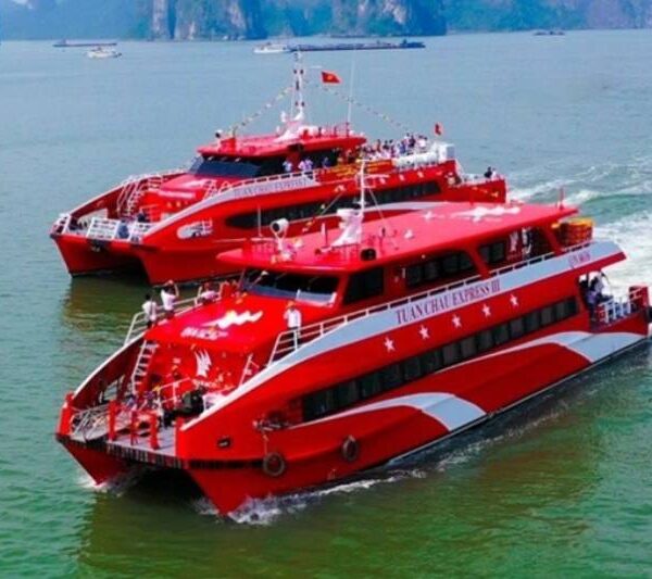 bateau rapide Halong Cat Ba