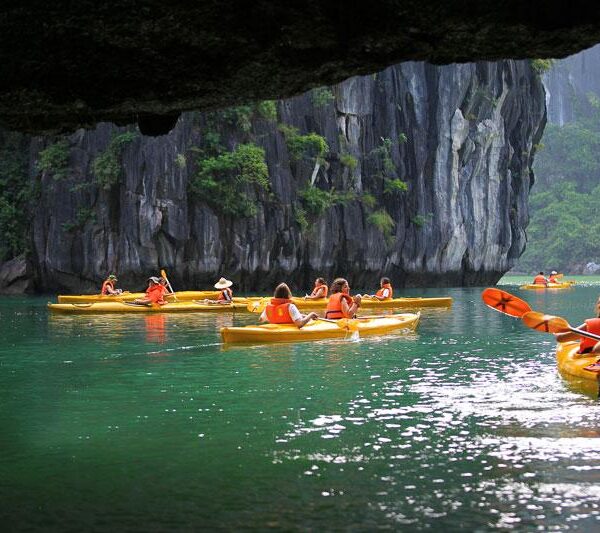 Participez à des activités touristiques durables dans la baie d’Ha Long